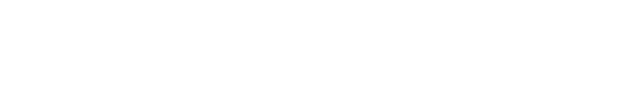 TravelX Logo